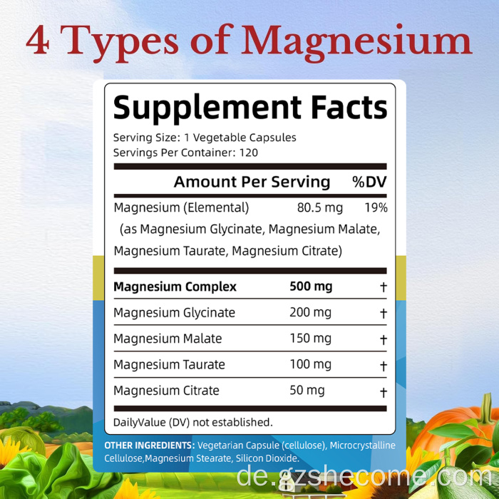 Shecome Magnesium Complex Kapseln zur Unterstützung des Knochen-Herz-Immunsystems